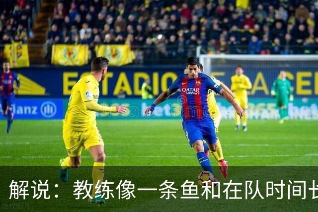 解说：教练像一条鱼&在队时间长了就会发臭 杜锋话语出现效应递减